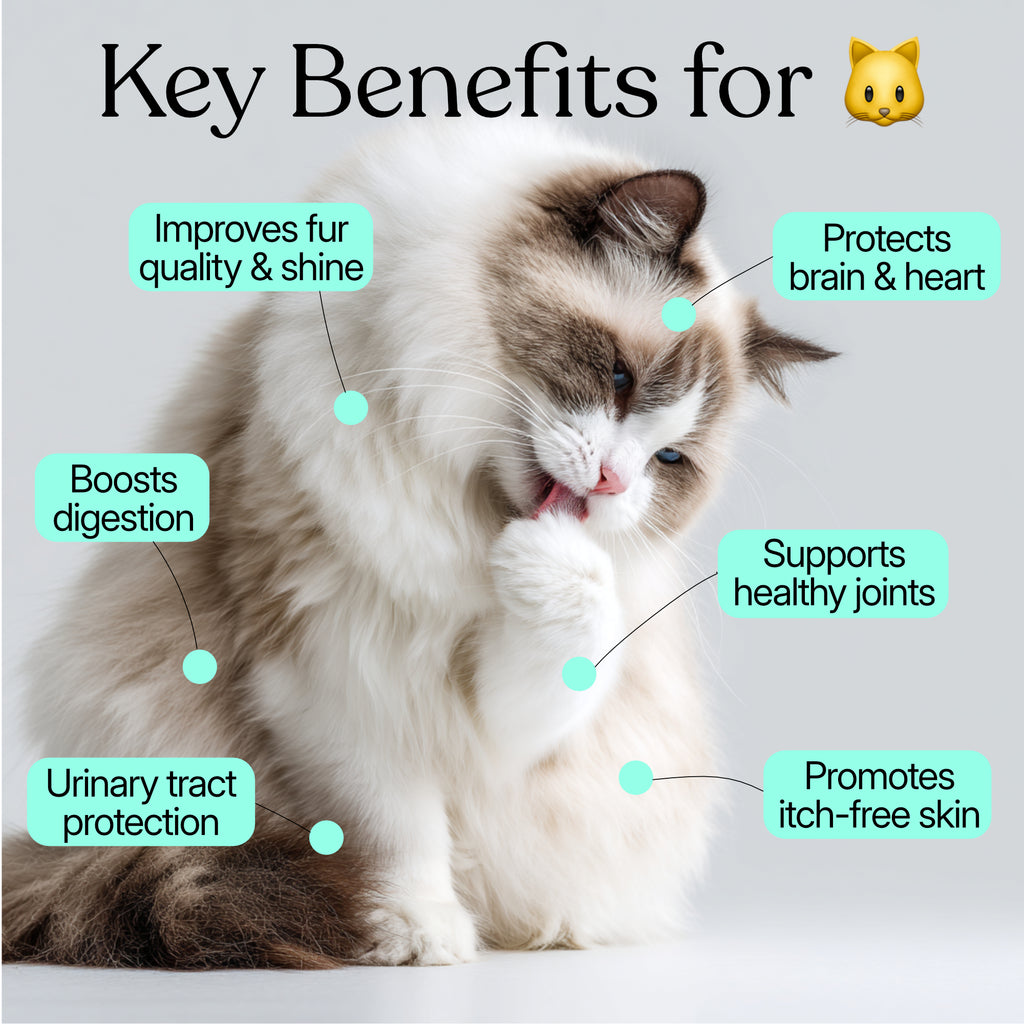 50-in-1 super supplement powder — for Cats & Dogs