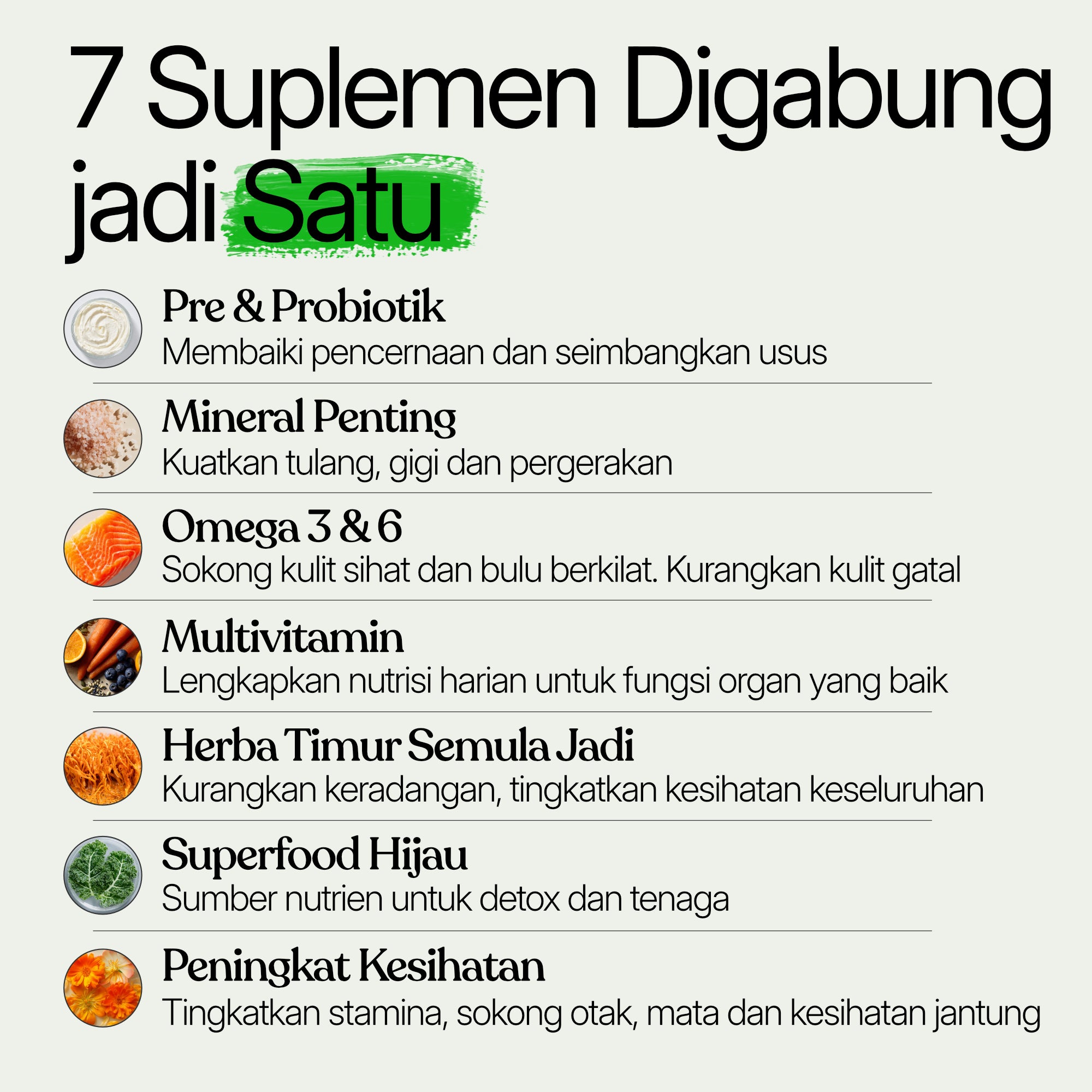 50-dalam-1 Serbuk Supplemen Kucing
