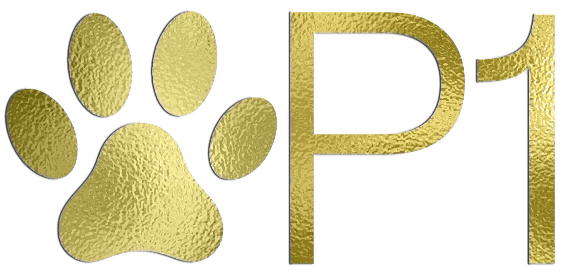 P1 - All-in-One Powder for Cats & Dogs