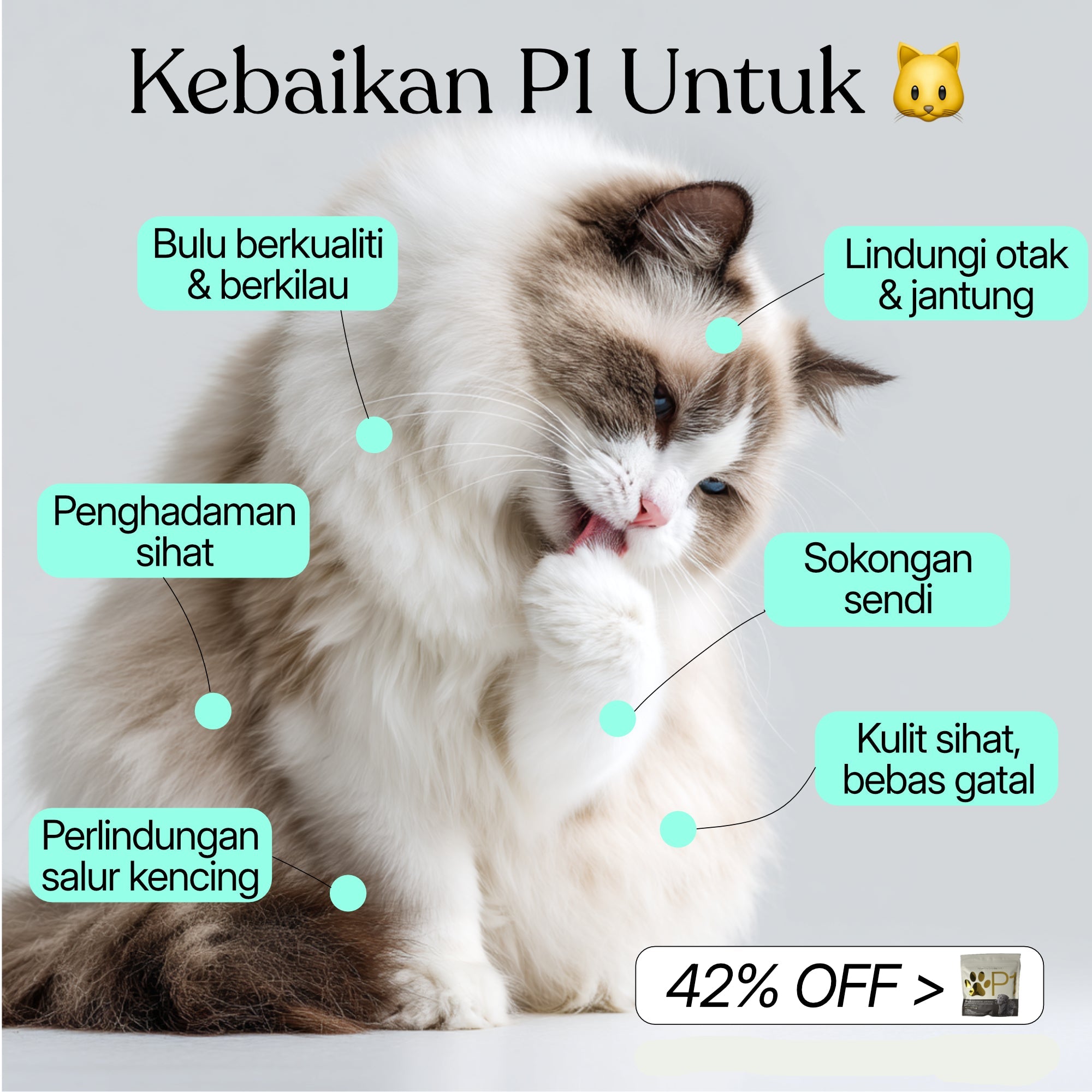 50-dalam-1 Serbuk Supplemen Kucing